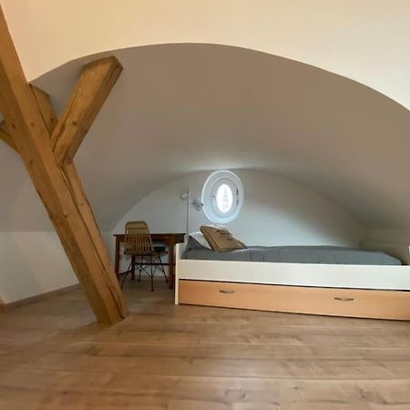 Appartamento Les Toits D'Austerlitz Strasburgo Esterno foto